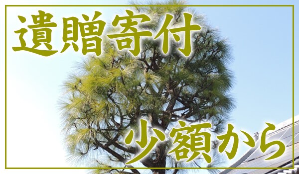 公式】那羅延金剛・密迹金剛のご案内｜本光寺